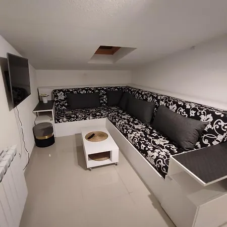 Apartment Vijecnica *